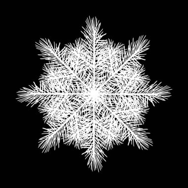 Şirin soyut kar tanesi bir Noel ağacının kozalaklı dallarından yaratılır. Siyah arka planda beyaz kar tanesi silueti. Donmuş su bir şablon çizer. 