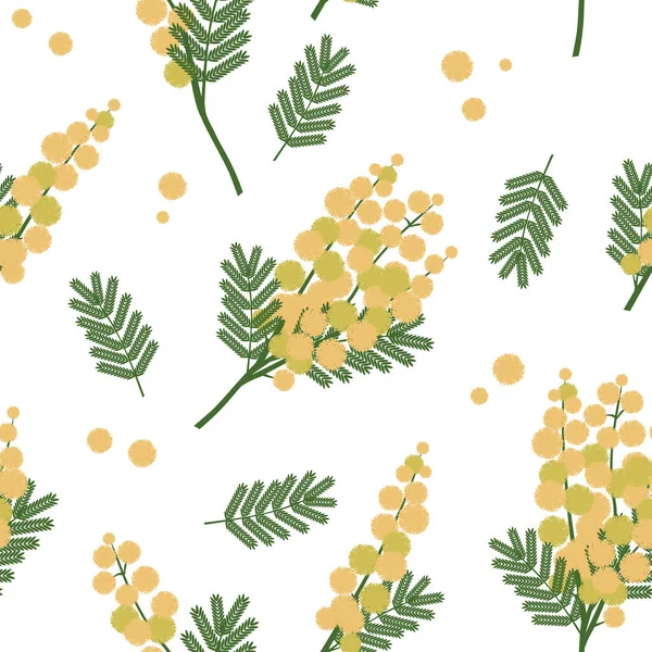 Acácia Galhos Com Flores Amarelas Fundo Branco Padrão Sem Costura — Fotografia de Stock