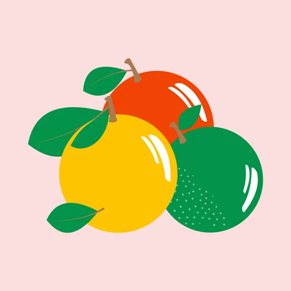 異なる品種と色のリンゴは白い背景に隔離されています ファームガーデン有機果物 — ストック写真