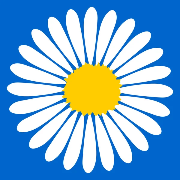 Weiße Kamillenblüte Auf Blauem Hintergrund Postkartensommer Niedliche Schablone Zum Bedrucken — Stockfoto