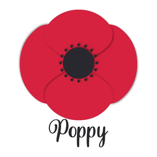 Red Poppy Flower Isolated White Background Drawn Modern Paper Cut — Foto de Stock
