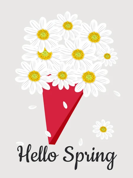 Hello Spring Bouquet White Daisies Vertical Light Gray Background — Photo