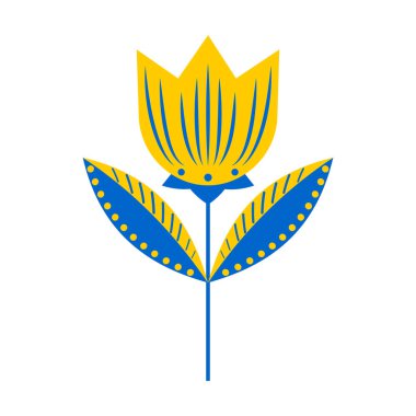 Lale. Beyaz arkaplanda izole edilmiş mavi ve sarı renkli çiçek. 