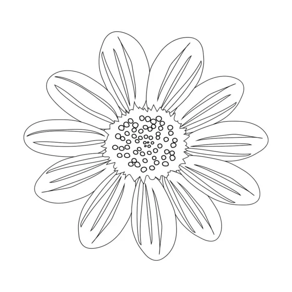 Chamomile flower with a black outline on a white background for coloring. One open flower bud.