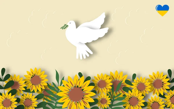 白い鳩は 切り紙のようにひまわりの畑を背景に小枝と平和の鳩 ウクライナへの平和 — ストック写真