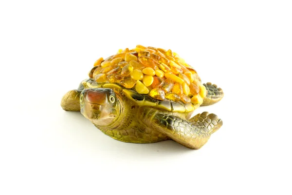 Zeeschildpad — Stockfoto