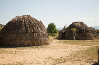 kulübe arbore