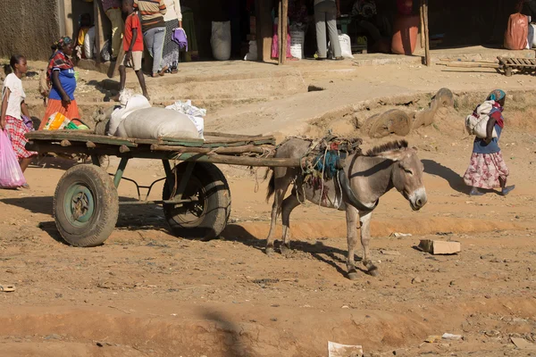Donkey with a cart — Stock Photo, Image