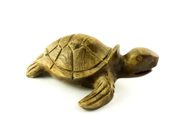Żółw — Zdjęcie stockowe