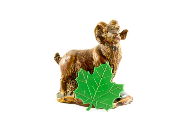 Koza i zielony liść — Zdjęcie stockowe
