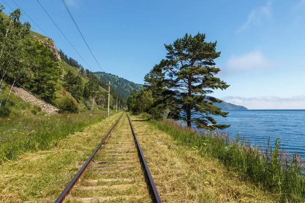 Baykal Demiryolu Sirki Baykal Gölü Kıyısında Demiryolu Stok Resim