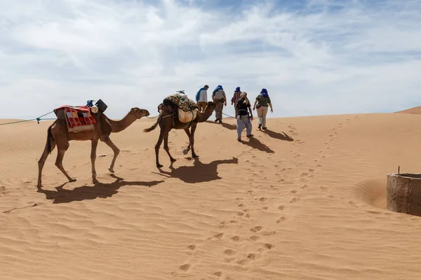 Carovana cammello nel deserto — Foto Stock