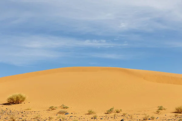 Beautiful sand dune — Stock Photo, Image