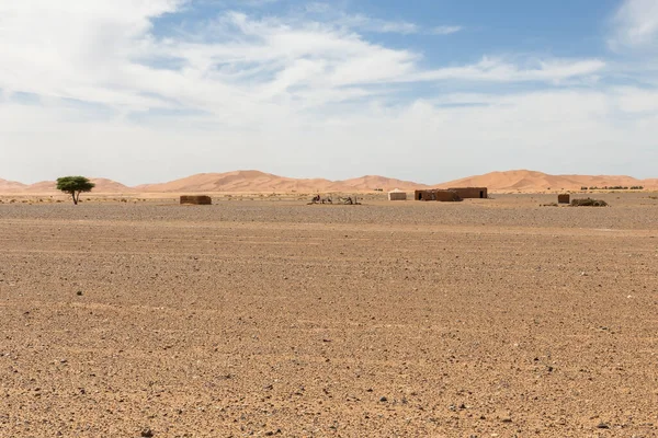 Sahara Wüste Marokko. — Stockfoto