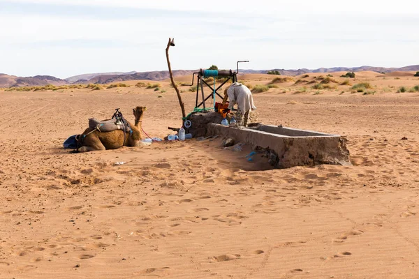Berberski Człowiek Wielbłądy Studni Zajmuje Woda Maroko — Zdjęcie stockowe