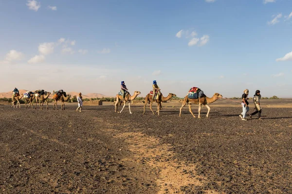 Prowincja Errachidia Maroko Października 2015 Przyczepa Wielbłądzi Turystami Przemierzającymi Pustynię — Zdjęcie stockowe