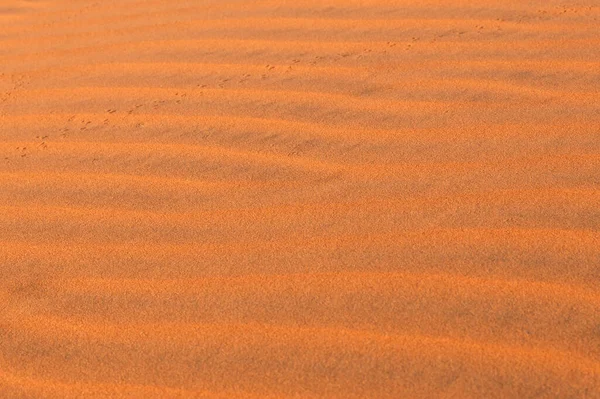 Sandwellen Full Frame Shot Sand Abstrakte Textur Oder Hintergrund — Stockfoto