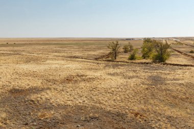 Kazakistan 'da Steppe