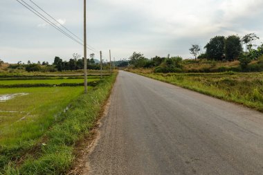 Vientiane Eyaleti Laos 'taki pirinç tarlaları boyunca asfalt yol