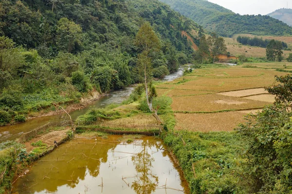 Pequeño Estanque Peces Cerca Del Río Las Montañas Laos Campos — Foto de Stock