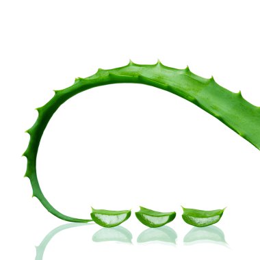 aloe vera yaprağı dilim