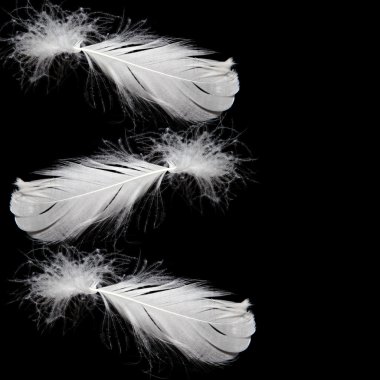 bir sürahi dökme süt