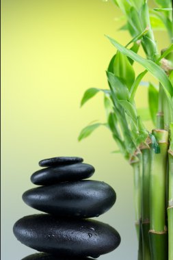 Spa konsepti zen bazalt taşları