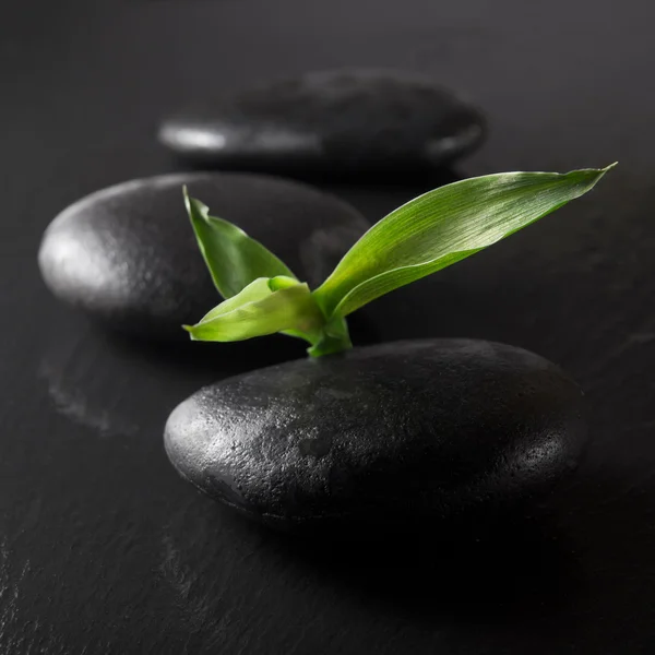 Piedras Zen y bambú — Foto de Stock