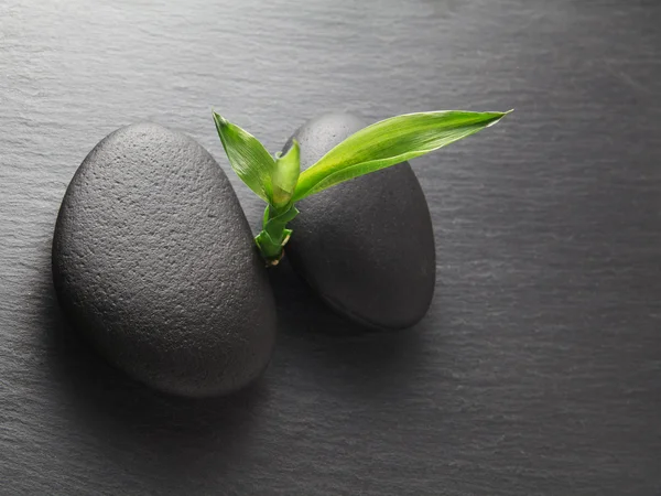 Piedras Zen y bambú — Foto de Stock