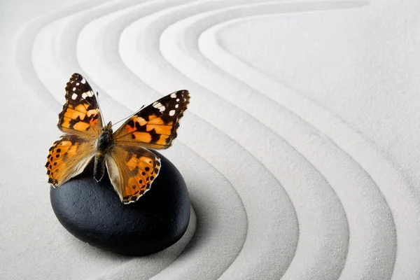 Piedra Zen con mariposa — Foto de Stock