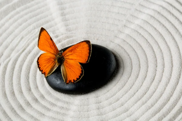 Piedra Zen con mariposa — Foto de Stock