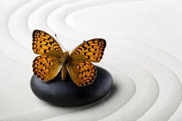 Zen stone s motýl — Stock fotografie