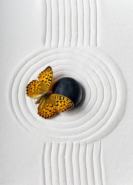 Zen stone with butterfly — Stock Photo, Image