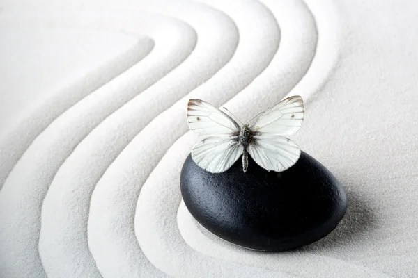 Piedra Zen con mariposa — Foto de Stock