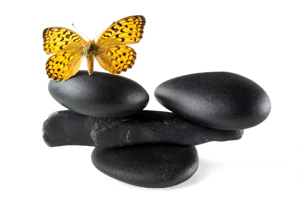 Concepto de equilibrio de piedras Zen con mariposa — Foto de Stock