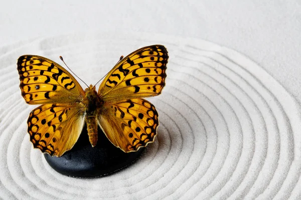 Дзен камінь з метеликом — стокове фото