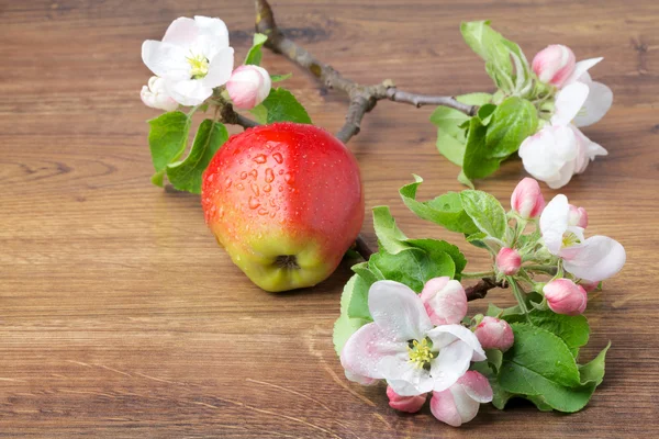 Flores de manzana y manzanas rojas maduras sobre un fondo de madera — Foto de Stock