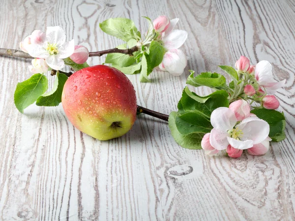 Flores de manzana y manzanas rojas maduras sobre un fondo de madera — Foto de Stock