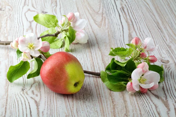 Flores de manzana y manzanas rojas maduras sobre un fondo de madera — Foto de Stock