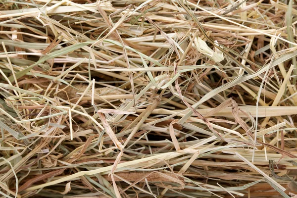 干し草の背景 — ストック写真