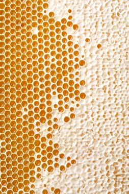 peteğin yapımında bal 