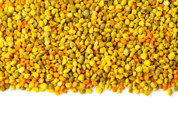 Bee gathered pollen granules background — Stock Photo, Image