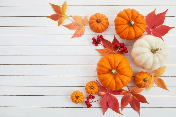 Podzimní rám z dýní, bobulí a listí na bílém dřevěném pozadí. Koncept dne díkůvzdání nebo Halloweenu. — Stock fotografie