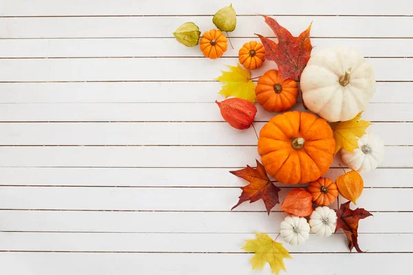 El marco otoñal de las calabazas, las bayas y las hojas sobre el fondo travertino. Concepto de Día de Acción de Gracias o Halloween. — Foto de Stock
