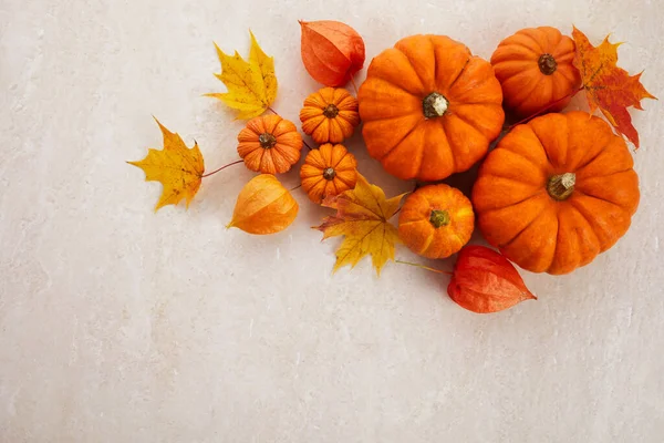 Herbstliches Gerüst aus Kürbissen, Beeren und Blättern auf Travertin-Hintergrund. Konzept von Thanksgiving Day oder Halloween. — Stockfoto