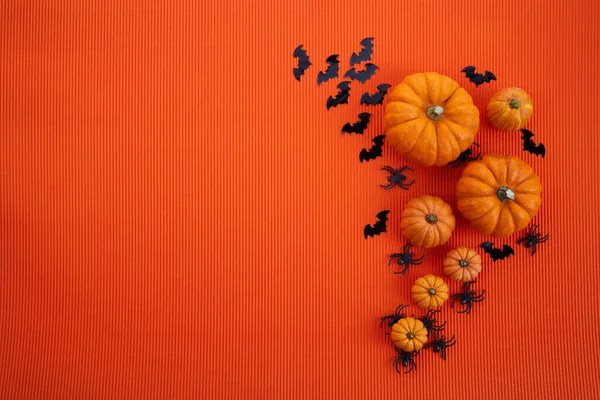 Объекты Хэллоуина на оранжевом фоне — стоковое фото