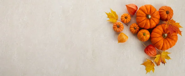 Φθινοπωρινό πλαίσιο από κολοκύθες, μούρα και φύλλα σε τραβερτίνη φόντο. Έννοια της ημέρας των Ευχαριστιών ή Απόκριες. — Φωτογραφία Αρχείου