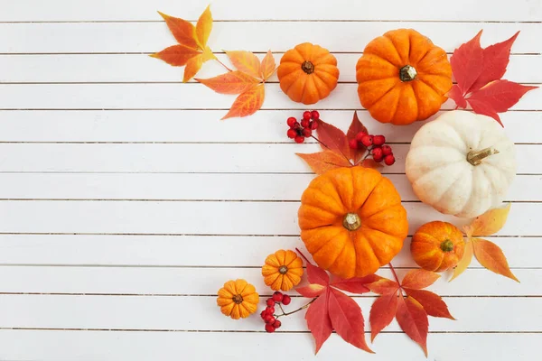 Podzimní rámec z dýní, bobulí a listů na travertinovém pozadí. Koncept dne díkůvzdání nebo Halloweenu. — Stock fotografie