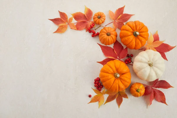 Herfst raamwerk van pompoenen, bessen en bladeren op een travertijn achtergrond. Concept van Thanksgiving dag of Halloween. — Stockfoto