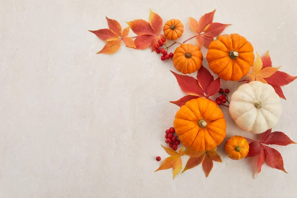 Quadro de outono de abóboras, bagas e folhas em um contexto travertino. Conceito de Dia de Ação de Graças ou Halloween. — Fotografia de Stock